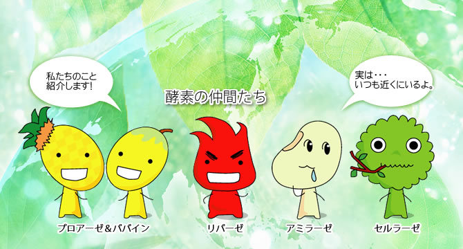 酵素の仲間たち